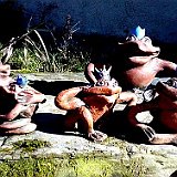 famille de grenouille